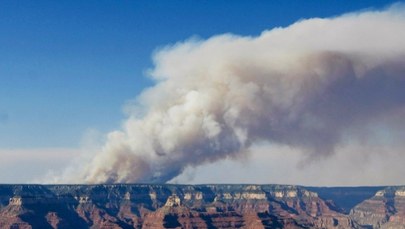 Płonie Wielki Kanion. Prognozy są bardzo pesymistyczne