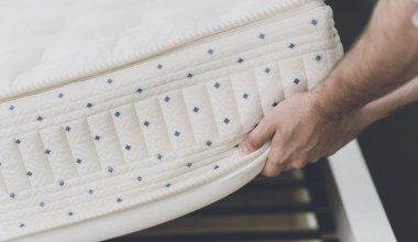 Pluskwy wyniosą się z domu raz, dwa. Ten zapach je odstrasza