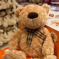 Pluszowe misie czekają na swoje święto