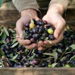 Płynne złoto drożeje. Europejski symbol może nie przetrwać