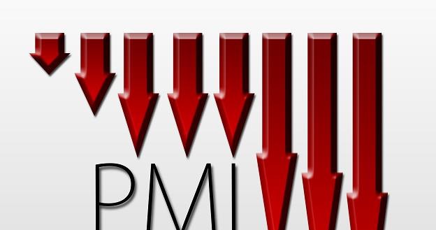 PMI dla Polski spadł do poziomu 45,6, najniższego od połowy 2009 r. /&copy;123RF/PICSEL