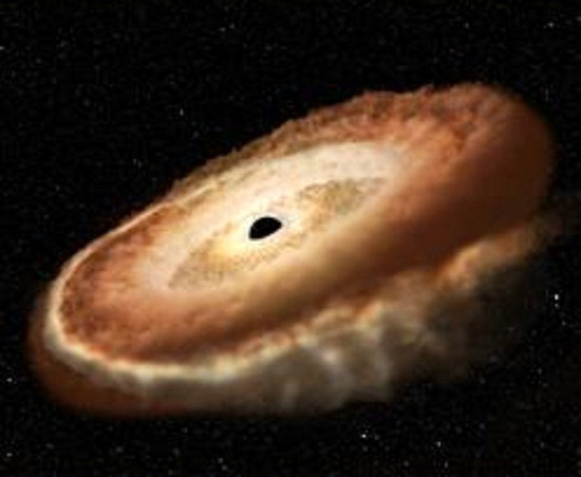Po ataku czarnej dziury na gwiazdę pozostaje jedynie materia przypominająca "pączek z dziurką". Potem ją także pochłania czarna dziura /NASA