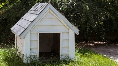 Po awanturze szukała go policja. Ukrył się w psiej budzie