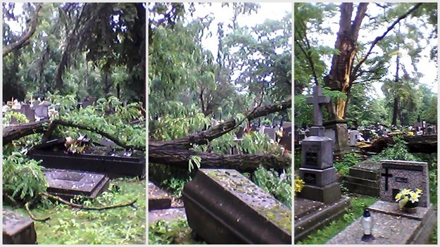 Po burzy w Krakowie wiele drzew połamanych, poniszczone wiele grobów /Karol Wolano /Gorąca Linia RMF FM
