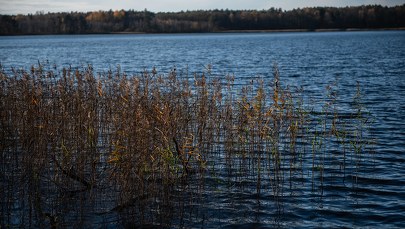 Po co Kościołowi kompleks hotelowy w Rybakach? "Ofiary od wiernych niewystarczające" 