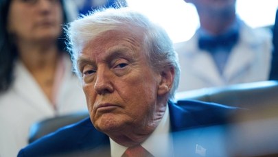 Po co Trumpowi Grenlandia? "Nie chodzi o minerały"