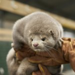 Karol Nawrocki Ludzie polityki.