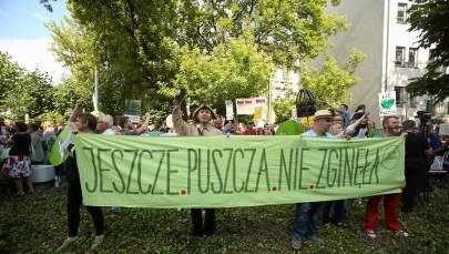 Po decyzji Trybunału w Puszczy Białowieskiej dzień jak co dzień. "Pilarze pracują" 