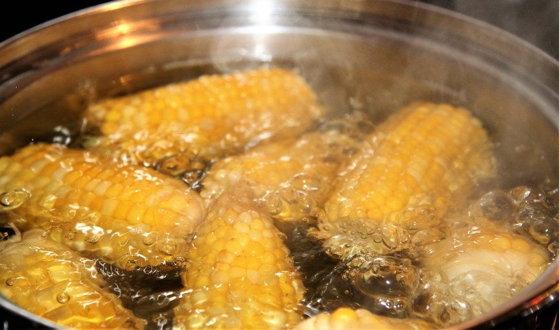 Po doprowadzeniu do wrzenia gotujmy kukurydzę dziesięć minut /123RF/PICSEL