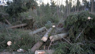 Po halnym sprzątane są szlaki w Tatrach 