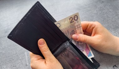 Po jakim czasie od zarejestrowania wypłacany jest zasiłek dla bezrobotnych? Zasady w 2026 roku 