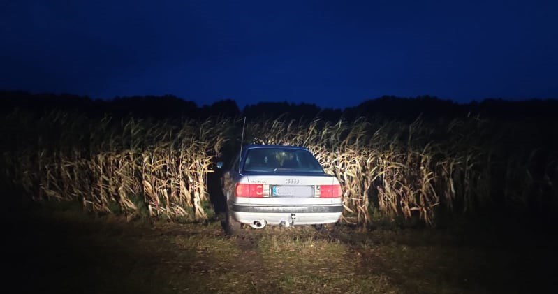 Po krótkim pościgu kierowca stracił panowanie nad samochodem wjeżdżając w pole kukurydzy /Policja