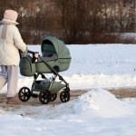 Zakład Ubezpieczeń Społecznych