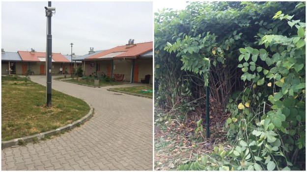 Po lewej: osiedle, na którym mieszkał 12-latek. Po prawej: zarośla, w których znaleziono ciało /Marcin Buczek /RMF FM