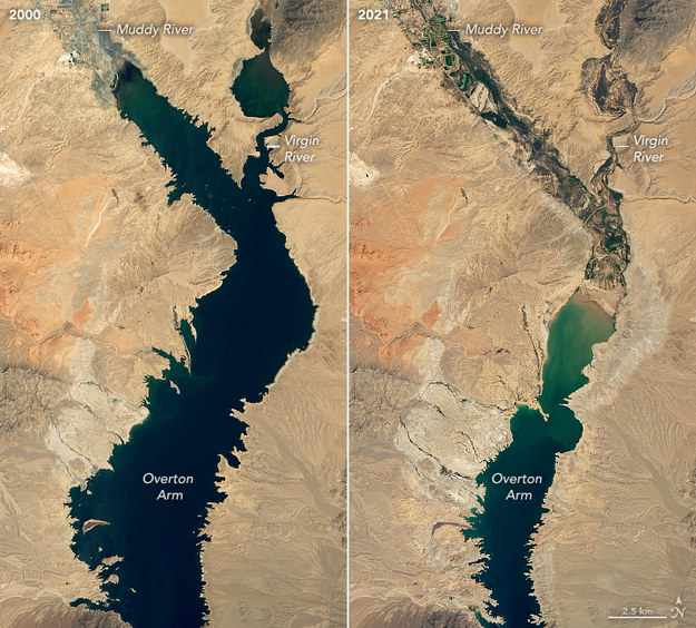 Po lewej zdj. z 7 sierpnia 2000 r., po prawej z 9 sierpnia 2021 r. /NASA