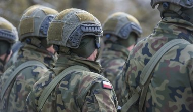 Po majówce kluczowy krok ws. SAFE. "Pierwsza część w ciągu kilku godzin"