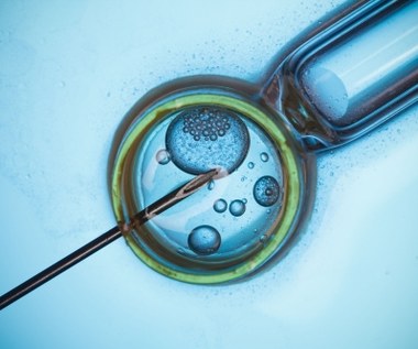Po naszym artykule o in vitro redakcję zalała fala listów. Wciąż pokutuje wiele mitów