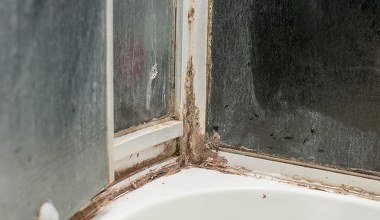 Po obiedzie wykorzystaj do czyszczenia kabiny. Prysznic będzie jak nowy