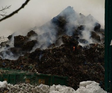 Po ośmiu dniach udało się ugasić pożar w Studziankach