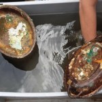 Po ponad wieku pod wodą. Nurkowie odkrywają bezcenne znaleziska z wraku Britannica