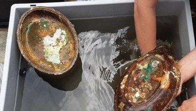 Po ponad wieku pod wodą. Nurkowie odkrywają bezcenne znaleziska z wraku Britannica