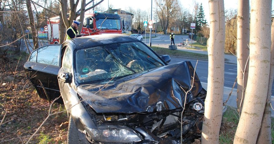 Po potrąceniu pieszej auto zatrzymało się na drzewie /Policja