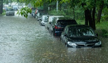 Po powodzi trafią do Polski. Jak rozpoznać auto po zalaniu?