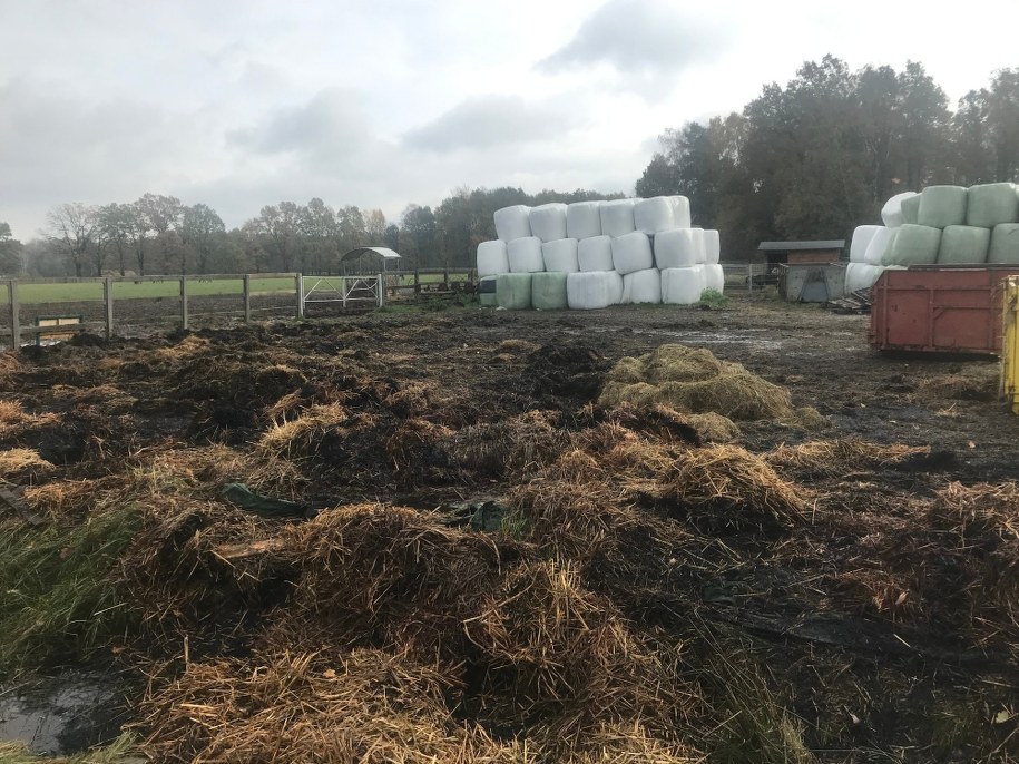 Po pożarze w Ćwiklicach /Marcin Buczek /RMF FM