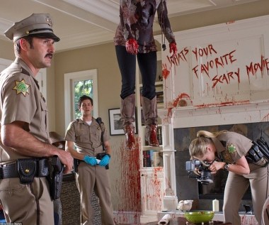 Po raz ostatni zasiadł na fotelu reżysera przy okazji filmu "Krzyk 4" z 2011 roku.