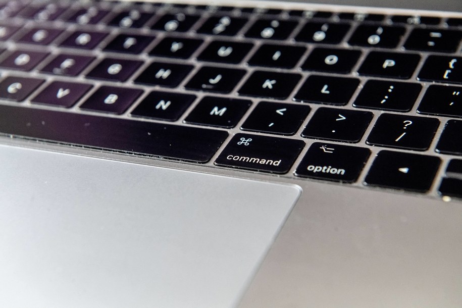 Po rozpoczęciu kadencji majątek z biura posła, który nie uzyskał reelekcji, trafia do jego następcy /	Grzegorz Michałowski   /PAP