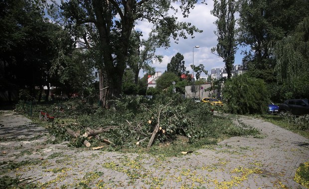 Po sobotniej nawałnicy w Krakowie zakaz wstępu do lasów