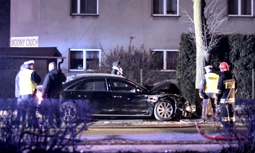 Po uderzeniu w Seicento Audi zatrzymało się na drzewie /Andrzej Grygiel /PAP