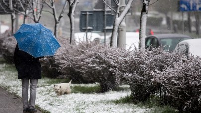 Po wichurach i śnieżycach bez prądu wciąż ponad 34 tys. odbiorców