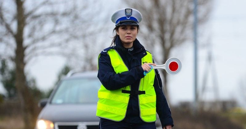 Po wprowadzeniu nowych przepisów policja zwiększyła ilość kontroli drogowych /Paweł Skraba /Reporter