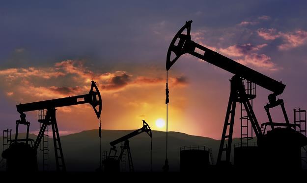 Po zniesieniu sankcji poziom wydobycia ropy w Iranie wzrośnie o 500 tys. baryłek dziennie /PAP