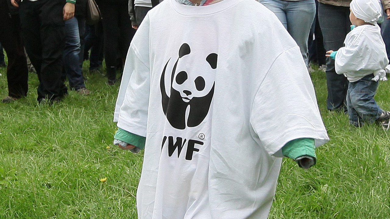 Pobicia, tortury i gwałty. WWF oskarżane o wspieranie oddziałów paramilitarnych