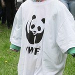 Pobicia, tortury i gwałty. WWF oskarżane o wspieranie oddziałów paramilitarnych