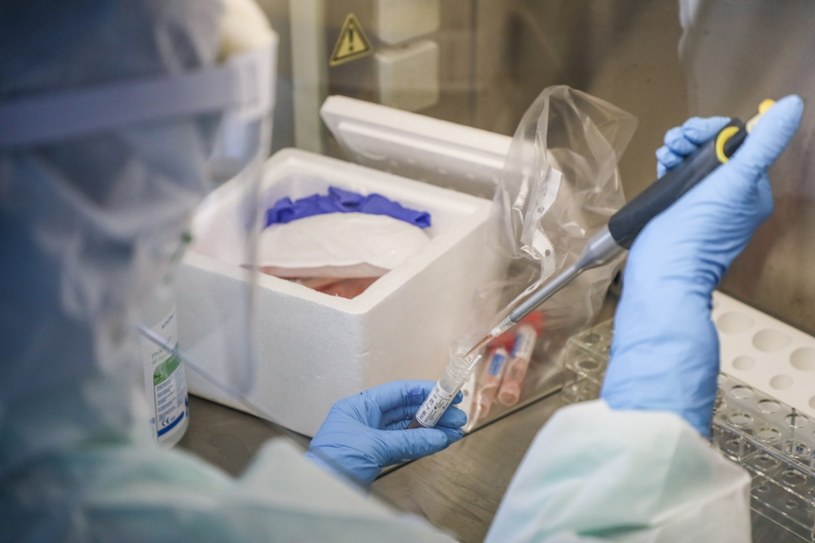 Pobieranie i badanie wymazów pod kątem SARS-CoV-2 w Pracowni Immunologii w szpitalu MON przy ul. Szaserów. /East News