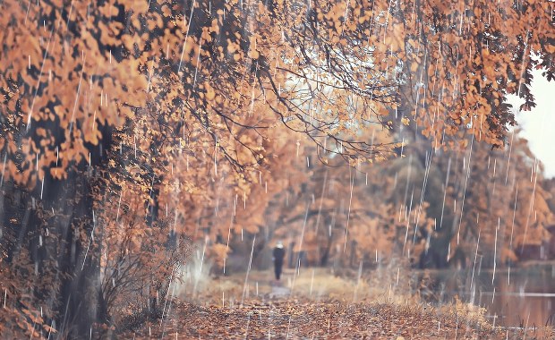 Pochmurnie i deszczowo. Najbliższe dni klasycznie jesienne