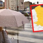 Film (2003)[Warnings] Reż.Christian McIntire