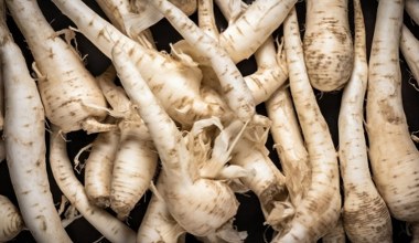 Почніть їсти регулярно, а не лише на свята. Допомагає покращити травлення та позбавляє від болю у суглобах