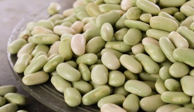 Pochodzi z Francji, dlatego nazywana jest flażoletką. W diecie redukcyjnej niezastąpiona, ma mało kalorii, ale dużo białka