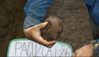 Pochowali go z "żółwiem". Niezwykłe odkrycie sprzed 2800 lat 