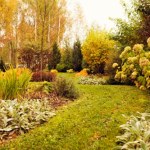 cmentarz dla zwierząt Pochówek kota w ogrodzie? Co jest dozwolone, a czego lepiej unikać