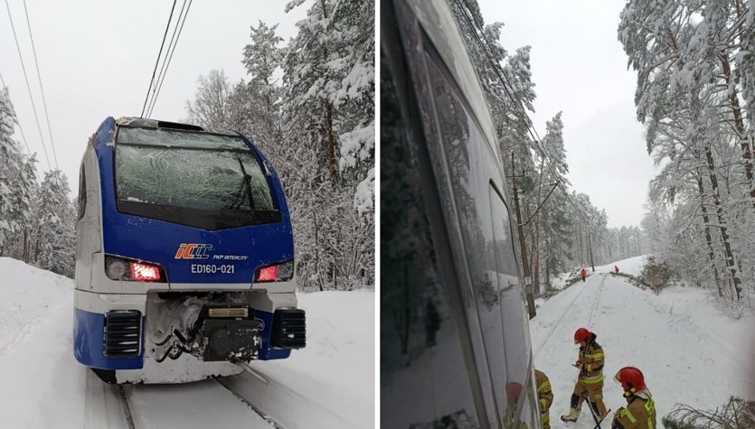 Pociąg uderzył w drzewo zwisające nad torami. Jest komunikat PKP