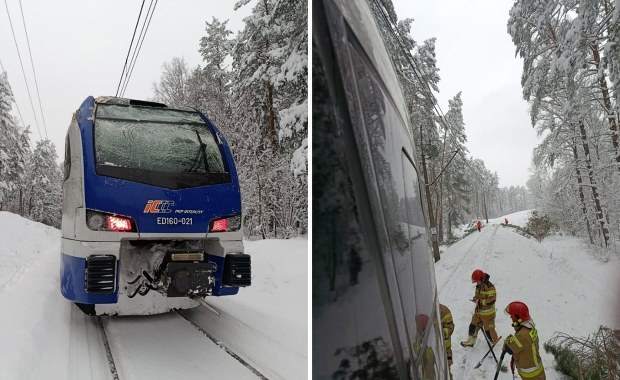 Pociąg uderzył w drzewo zwisające nad torami. Jest komunikat PKP
