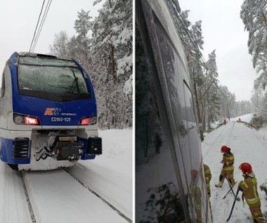 Pociąg uderzył w drzewo zwisające nad torami. Jest komunikat PKP