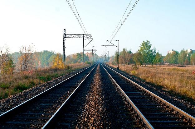 Pociągi z Małopolski na Śląsk miałyby jeździć z prędkością 160 km/godz /&copy;123RF/PICSEL