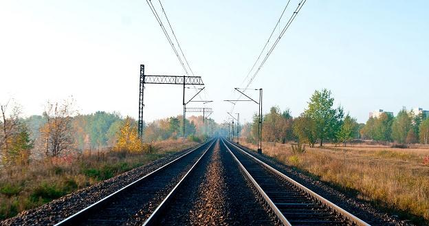 Pociągi z Małopolski na Śląsk miałyby jeździć z prędkością 160 km/godz /&copy;123RF/PICSEL