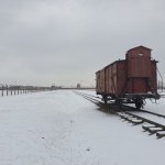 Poczekalnia do śmierci. Wagon symbolem 80. rocznicy wyzwolenia obozu Auschwitz